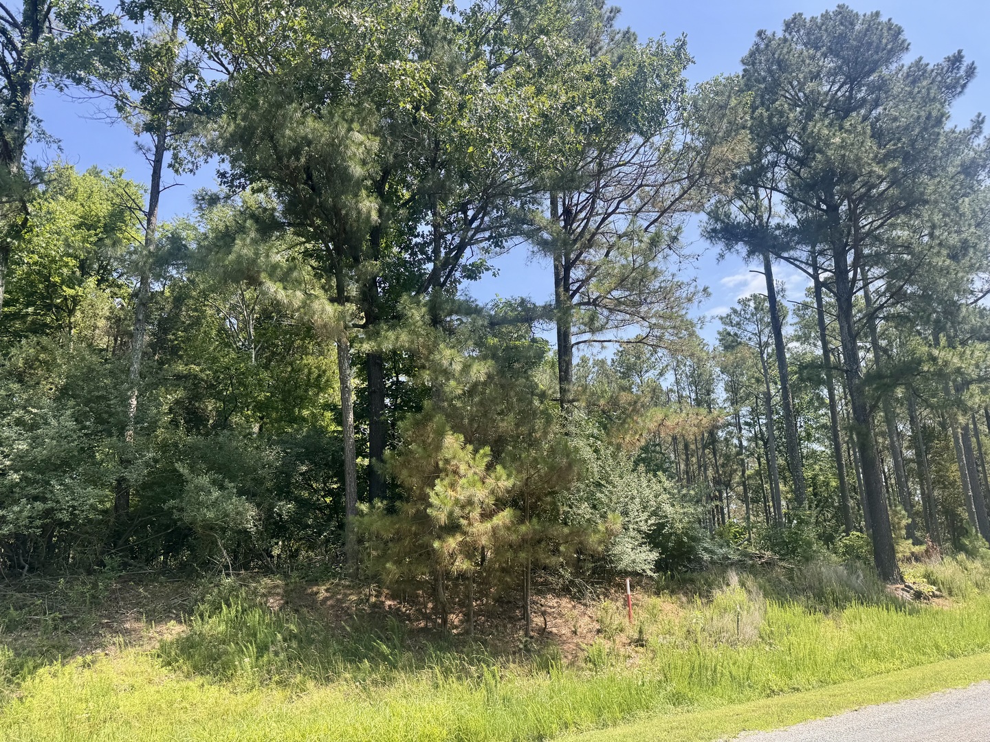MLS1266573010