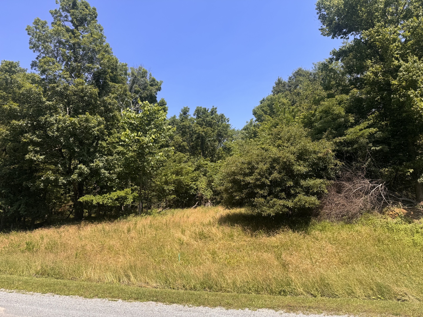 MLS126657302