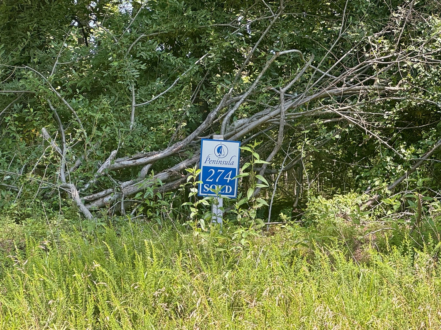 MLS126657304