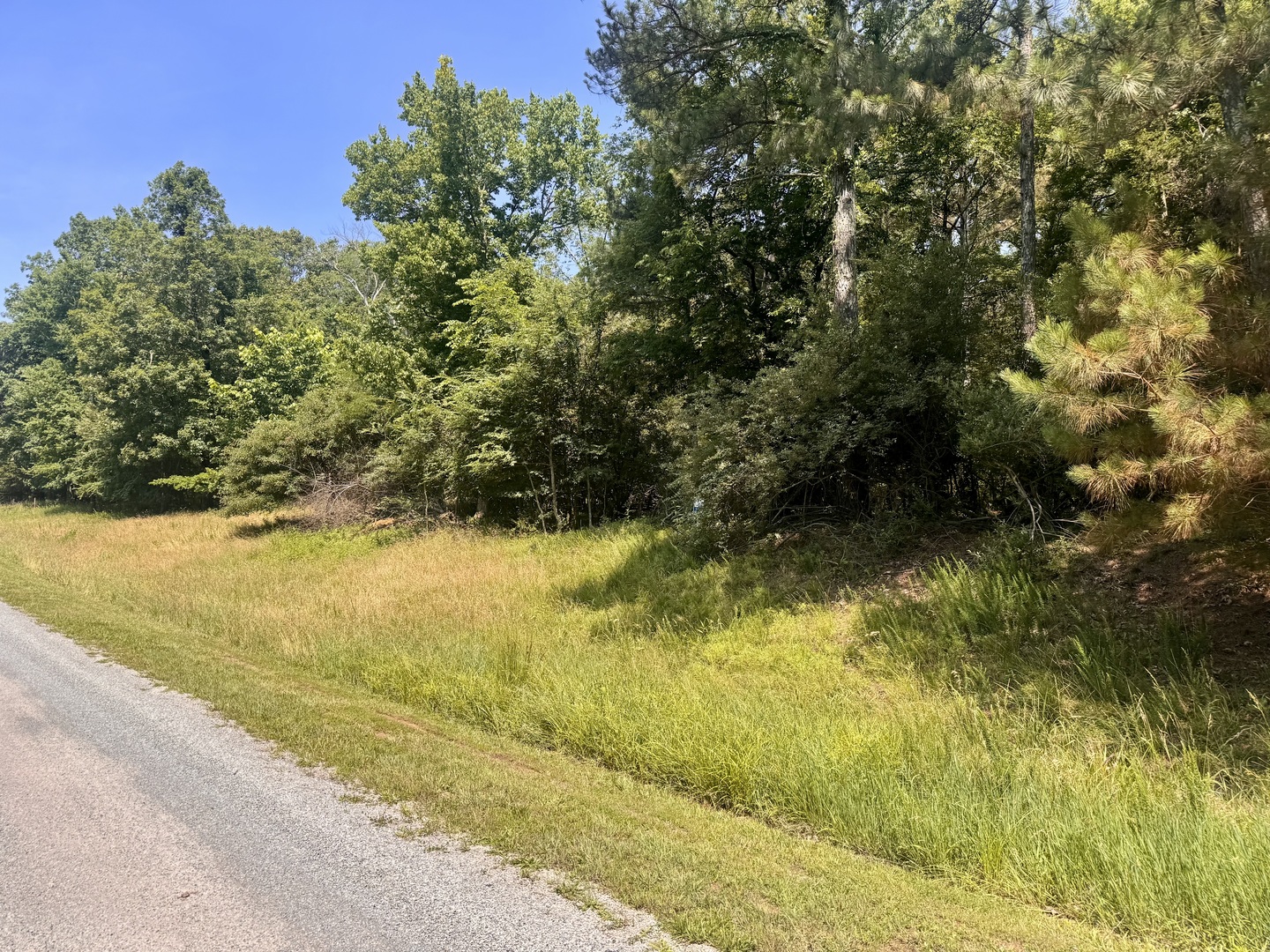 MLS126657308